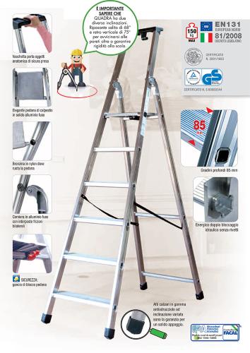Scala domestica in Alluminio Pieghevole 10 Gradini 150kg Professionale  Quadra