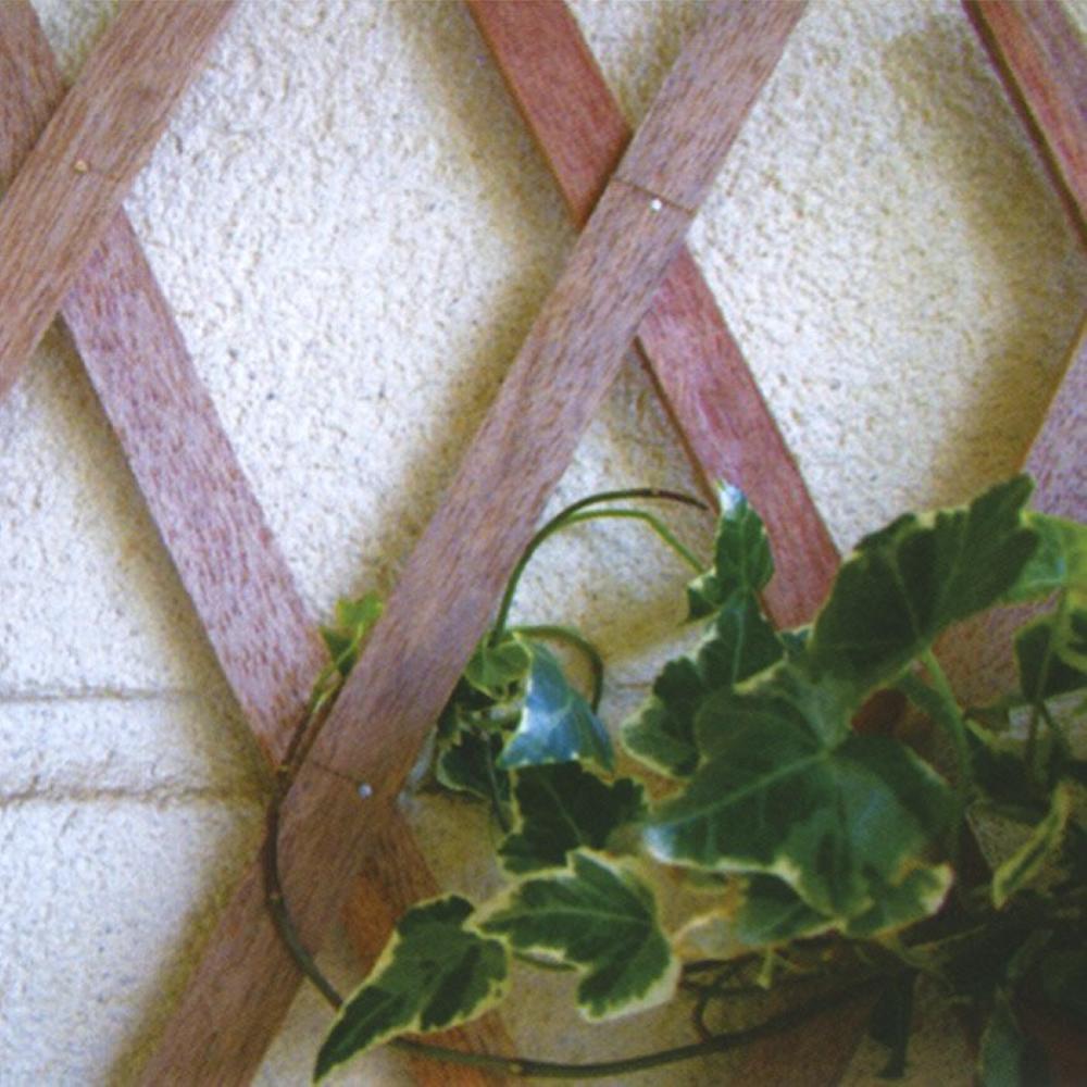 Traliccio Estensibile In Legno 100x200 Cm - Decorazione Per Pareti, Balconi E Terrazzi | Design Naturale E Modulare