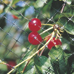 Rete di protezione anti uccelli 2x10 mt per piante alberi orto giardino