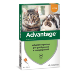 ADVANTAGE SPOT-ON ANTIPULCI ANTIPARASSITARIO PULCI ZECCHE PER GATTI E CONIGLI FINO A 4 KG