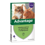 ADVANTAGE SPOT-ON ANTIPULCI ANTIPARASSITARIO PULCI ZECCHE GATTI E CONIGLI OLTRE 4kg 