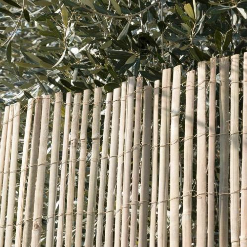 Arella Bamboo Mezza Canna Xone