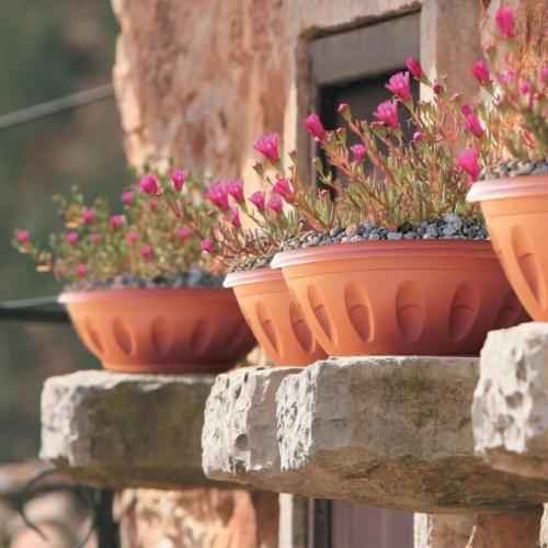 Fioriera Azteki Rotonda In Plastica | Con Fori Di Drenaggio E Nervature Di Rinforzo | Colori Terracotta E Antracite