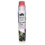MASTICE INNESTO G250 CICATRIN