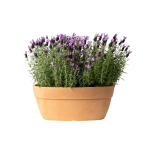 CIOTOLA ELLITTICA DIAMETRO 80 RESISTENTE LISCIA