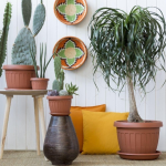 VASO 30X30 PLASTICA H22 TERRACOTTA+SOTTOVASO TERRA