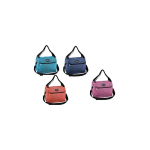 BORSA ISOTERMICA LT26 COLORI ASSORTITI BREEZE